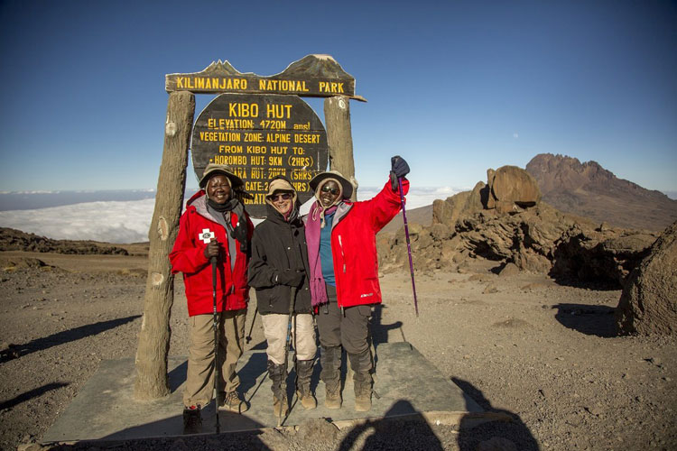 Terra_Kilimanjaro_750